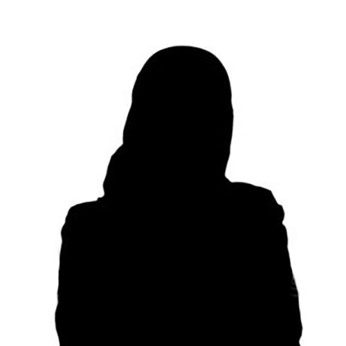 silhouette-arabic-business-woman